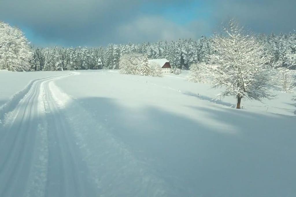 Ferienwohnung Im Schwarzwald Unterkirnach エクステリア 写真